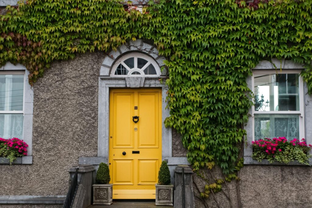 Yellow color door